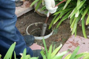 Cracked Sewer Line? Don't Freak, Just Seek! Know the Signs and Solutions!